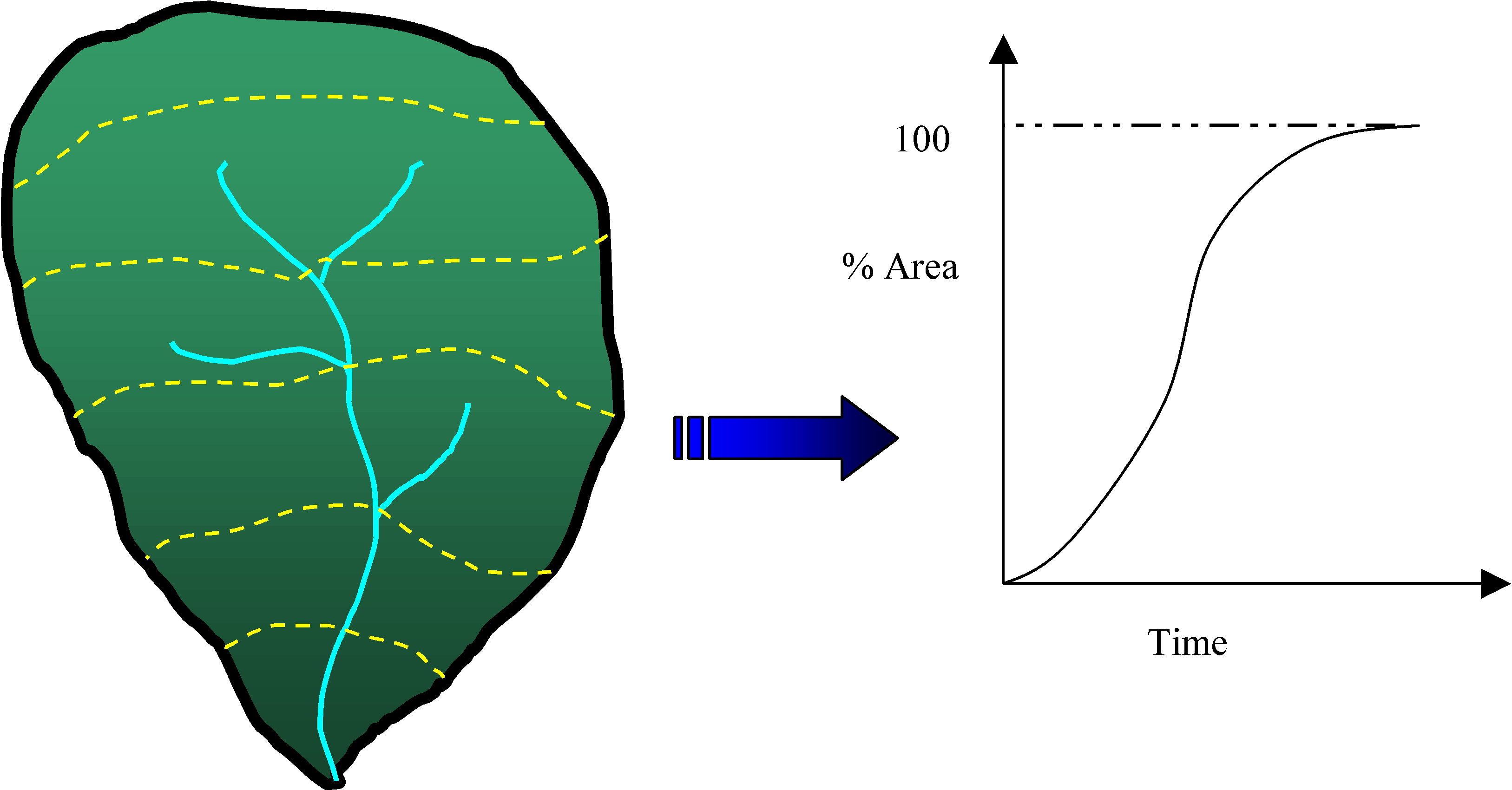 Curve area