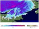 Thumbnail image of Modeled Snow Precipitation