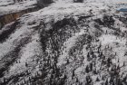 SWE 1.0cm SWE 1.0cm