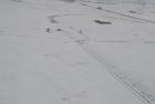 ground ice ground ice
