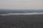 MN276 2.54 IN SWE Woods