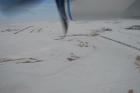 ND119 - 2.88 in SWE - Wintering River