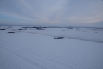 field conditions near Davenport, ND