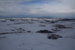 Snow in Fields