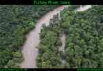 Turkey River, IA Turkey River, IA