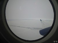 NY203 NY203