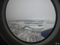 NY203 NY203