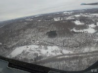 NY519 NY519