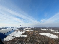 NY446 NY446