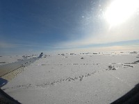 MN301 MN301