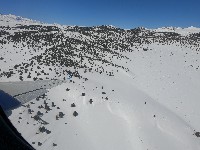 CA152 CA152