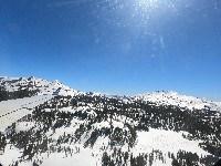 CA115 CA115