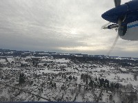 NY203